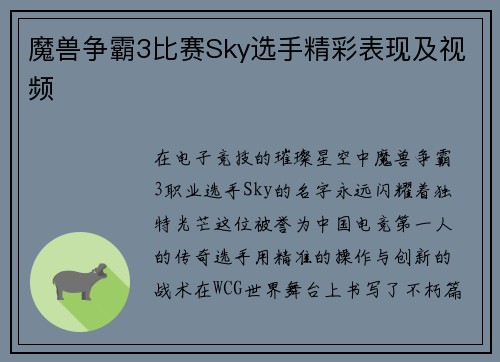 魔兽争霸3比赛Sky选手精彩表现及视频