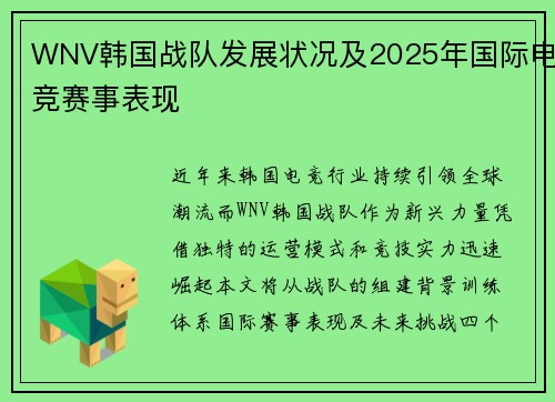 WNV韩国战队发展状况及2025年国际电竞赛事表现